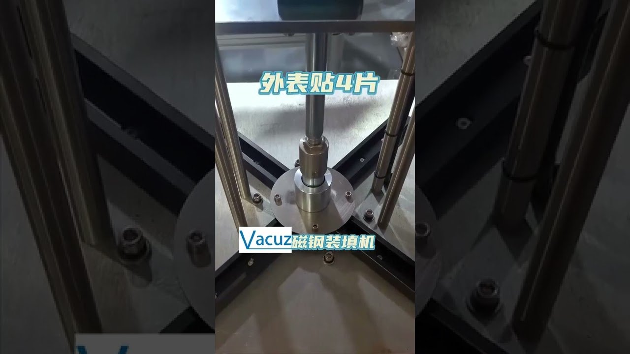 Long Rotor Coil Automatic Magnetic Steel Insertion Feeding Machines