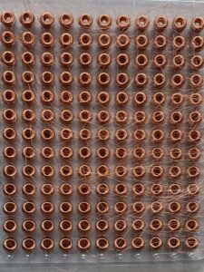 Thin Wire Differential Mode Vacuz Automatic Toroidal Coil Inductor Belt Type Winding Machine